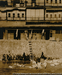 作品画像:盛夏河畔