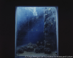 作品画像:No.1024 葛西臨海水族園、建設途上