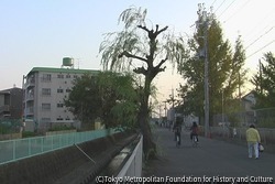 作品画像:伊丹 2009年 冬‐2010年 春