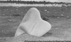 作品画像:(海岸)
