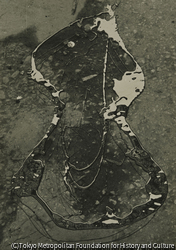 作品画像：（地面と膜）