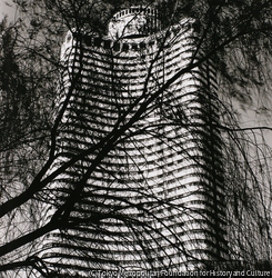 作品画像: