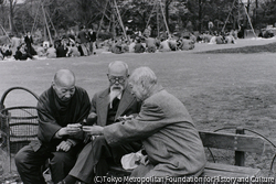 作品画像:上野公園