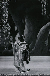 作品画像:六代目尾上菊五郎・藤娘