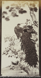 作品画像:つがい