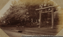 作品画像:(鳥居のある風景)