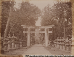 作品画像:東照宮の入り口、上野公園、東京