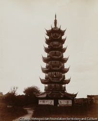 作品画像: