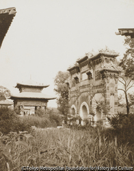 作品画像: