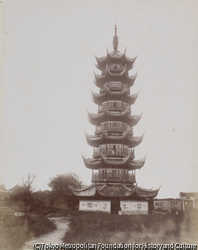作品画像:
