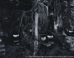 作品画像:水口Ⅱ、1988