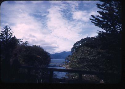作品画像:中禅寺湖から流れる小川