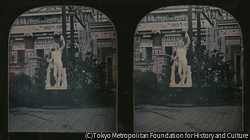 作品画像:クリスタル・パレス