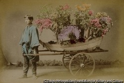 作品画像:(花を積んだリヤカーと男性)