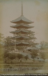 作品画像:奈良 興福寺