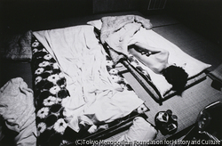 作品画像: