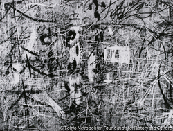 作品画像:壁(B)