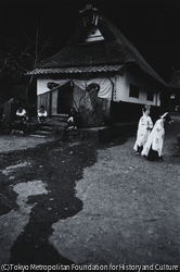 作品画像: