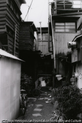 作品画像: