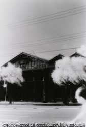 作品画像: