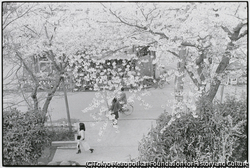 作品画像: