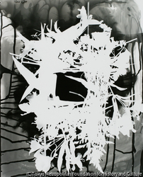 作品画像:ボタニクス・スタディ 6, 1989