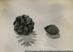 作品画像:華 其一