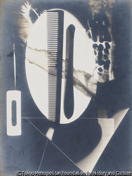 作品画像: