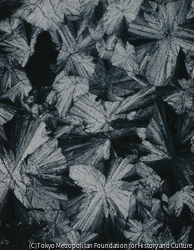 作品画像:13