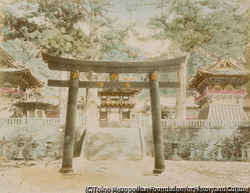作品画像:日光 東照宮 陽明門