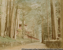 作品画像:日光 東照宮 参道