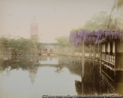 作品画像:浅草公園