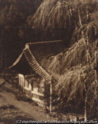 作品画像:池上本門寺附近