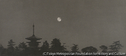 作品画像:薬師寺月夜