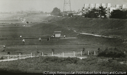 作品画像:多摩川公園