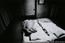 作品画像: