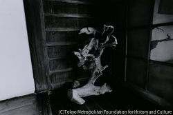 作品画像: