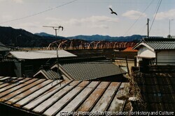 作品画像:高知県中村 2008. 2