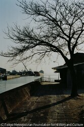作品画像:山口県岩国 2009. 2