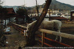 作品画像:山梨県富士吉田 2009. 1