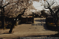 作品画像：群馬県桐生 2009. 4