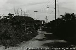 作品画像:昼さがりの道