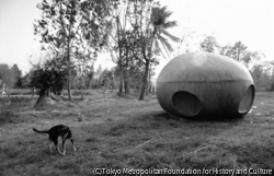 作品画像:ナブア森の犬と宇宙船、2008年