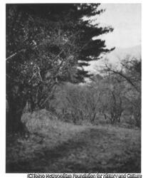 作品画像:(山道)