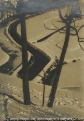 作品画像：雪景