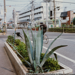 作品画像：荒川車庫前