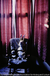 作品画像:ウナ 2003
