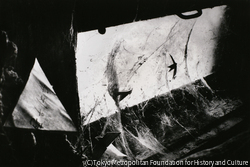 作品画像:受取人不明(組写真2/3)