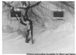 作品画像：（雪景）