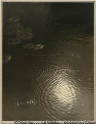 作品画像:秋雨(A)